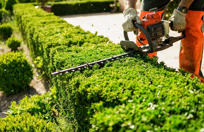 solar cleaning