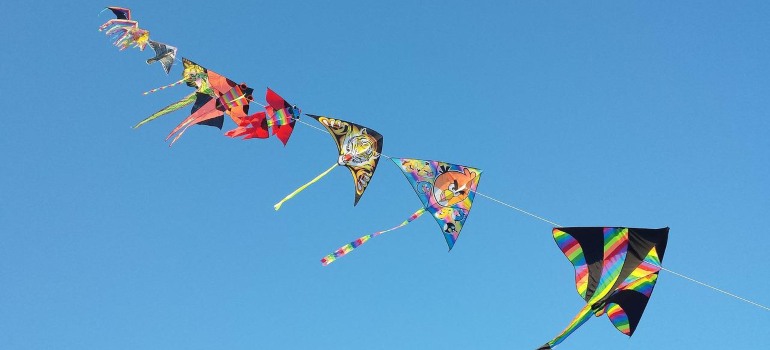 Kites in the sky, used for getting rid of pigeons on rooftops.