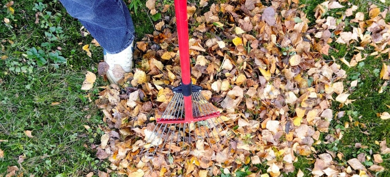 A person using artificial turf maintenance tools to clean leaves.
