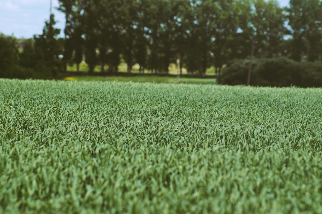 Top 10 benefits of artificial turf