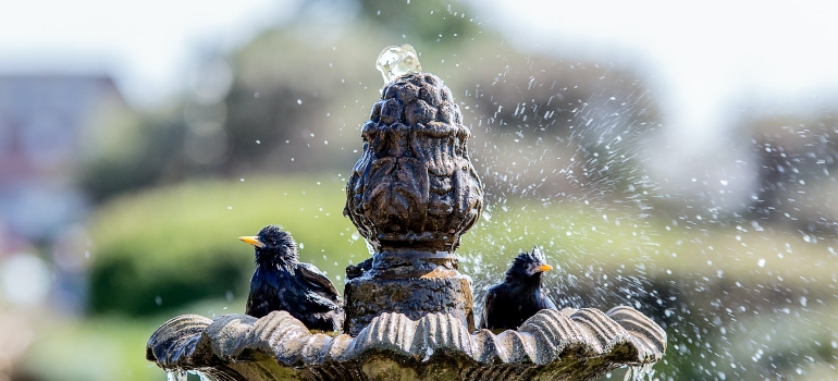 Two birds bathing in a fountain.