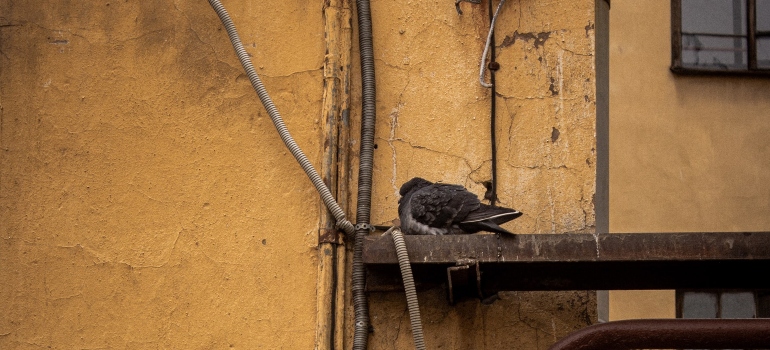 A pigeon sleeping on a metal beam.