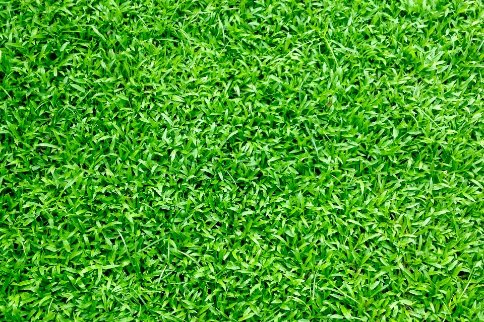 How to choose the best artificial turf for your home