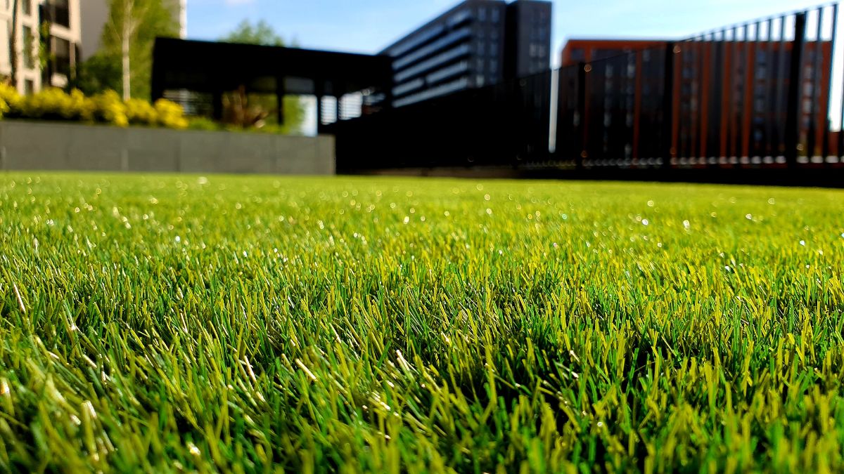 Natural grass vs. Artificial grass – which is better for you?