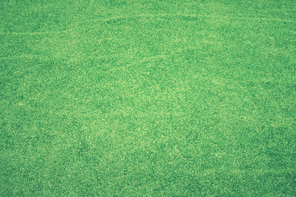 Top indoor uses for artificial grass