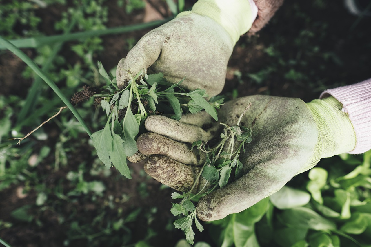 How to remove weeds from artificial grass