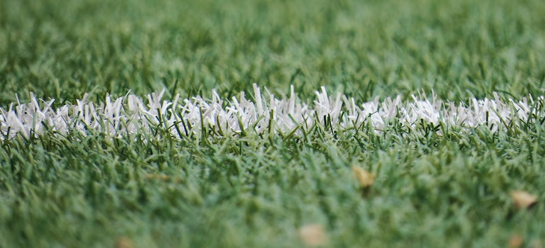 Grass with a white paint on it