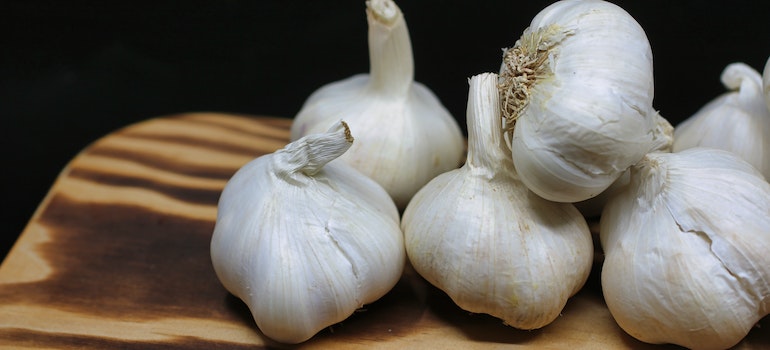 A garlic as it is the answer to what smells do birds hate