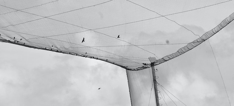 bird netting and some birds flying above it in a cloudy day