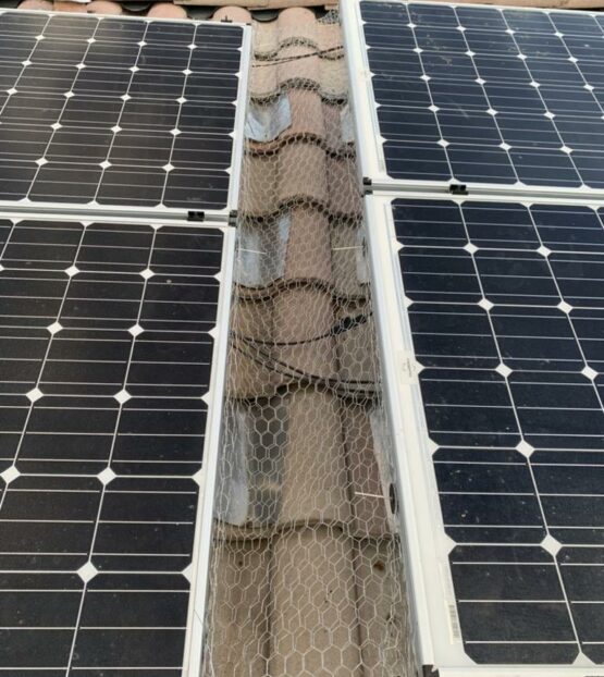 Solar Panel Bird Control Enterprise