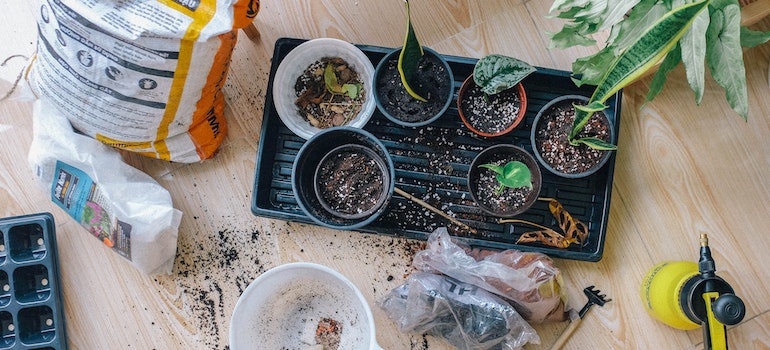Necessary tools for planting plants