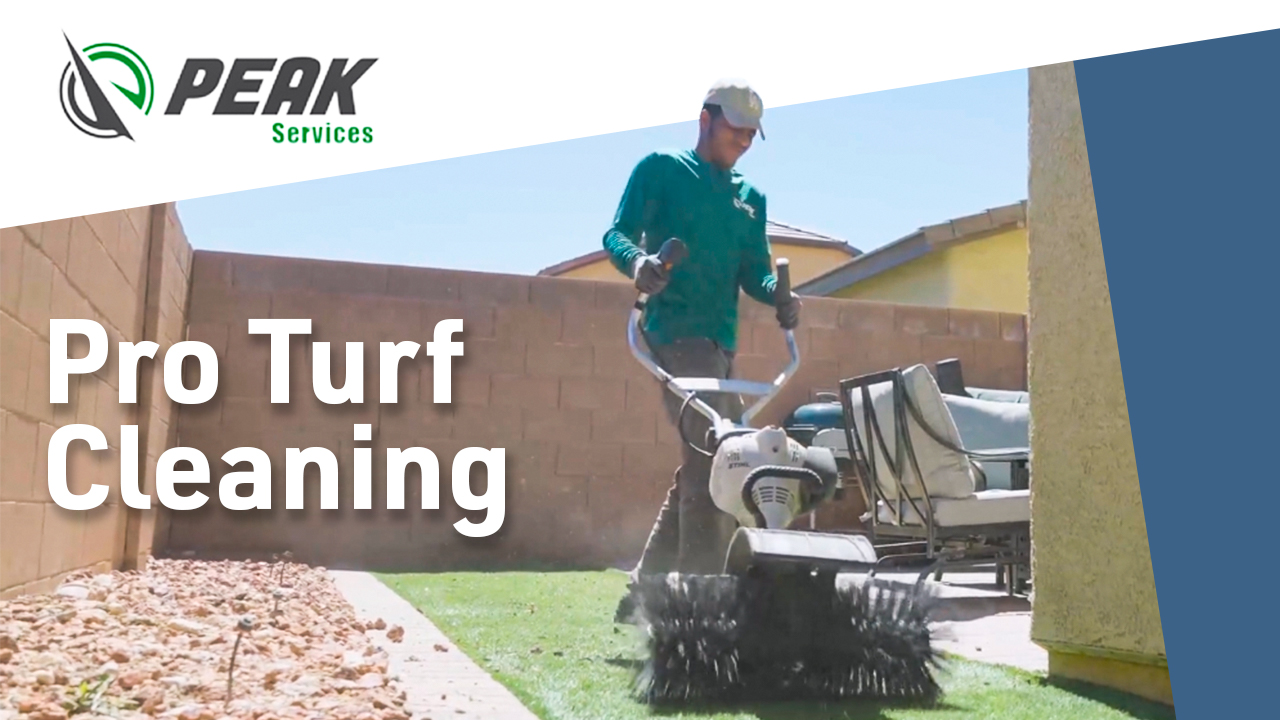 See Results! Turf Cleaning Job (Video)