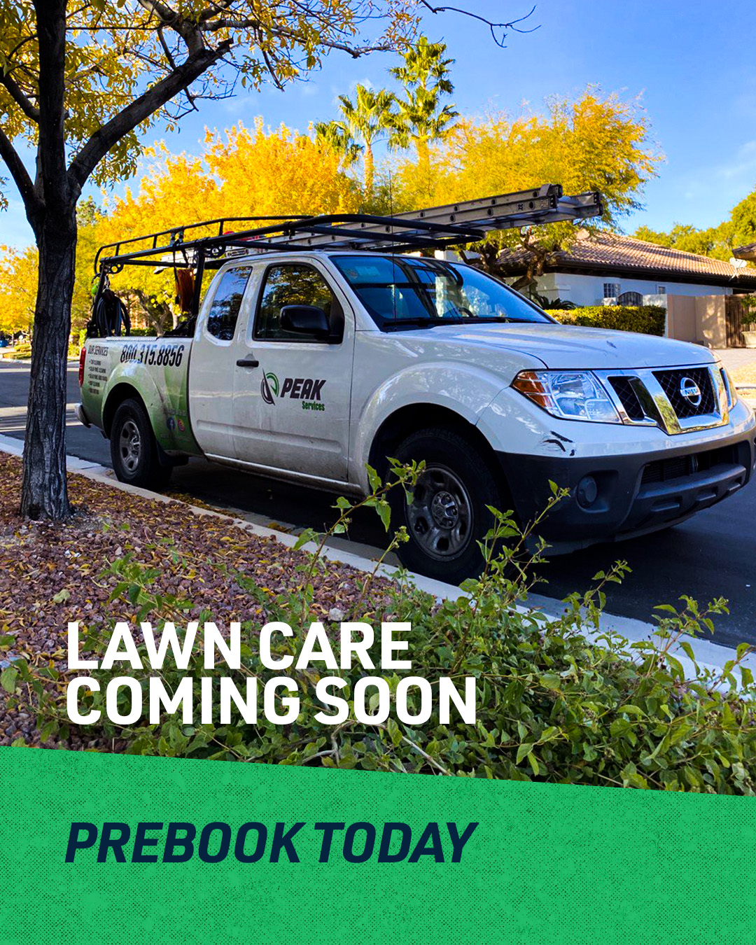 Discover Our New Lawn Care Services